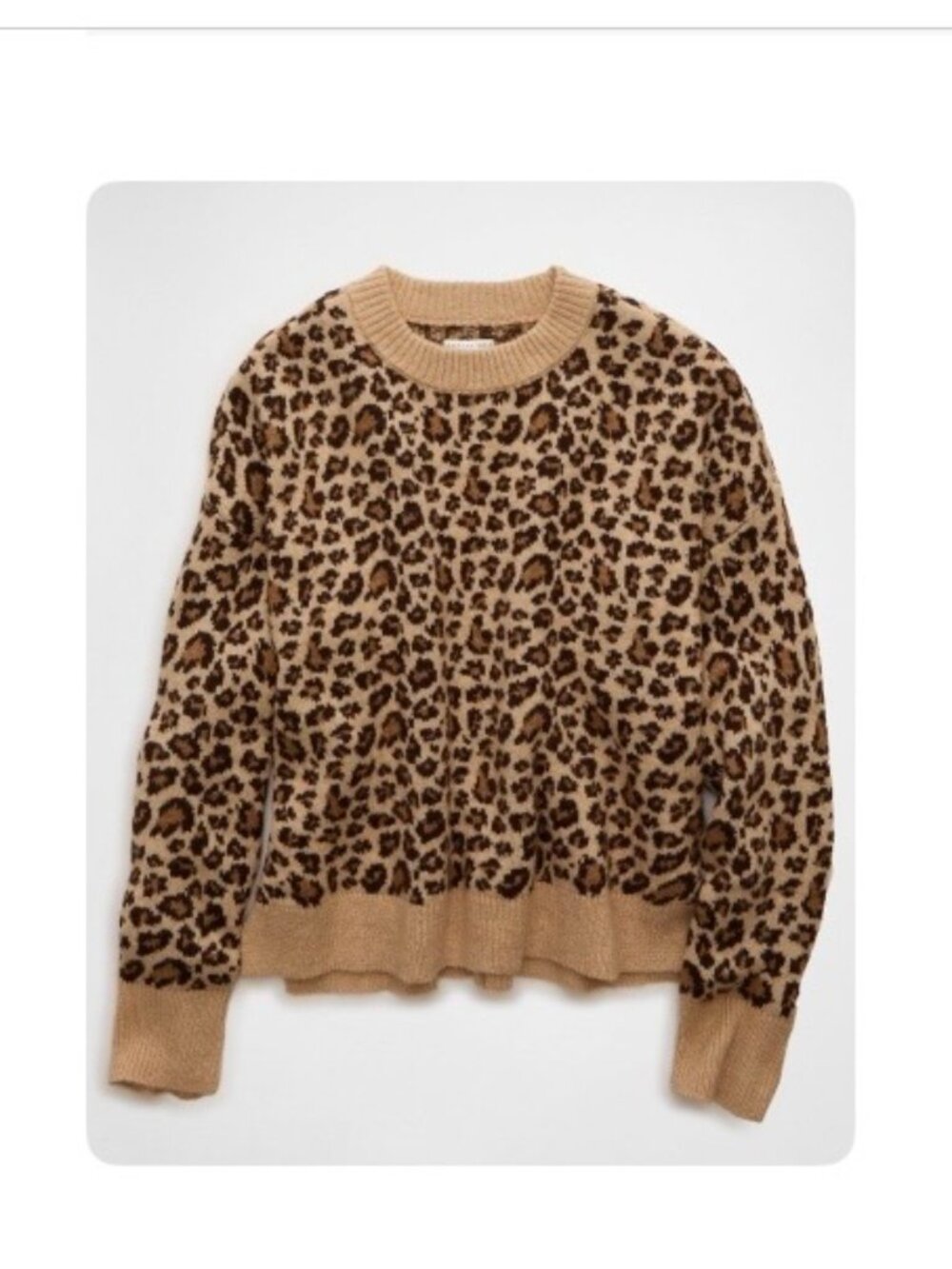 AE Whoa So Soft Leopard Print Sweater Medium Oversized NEW NWT Classic Crew neck